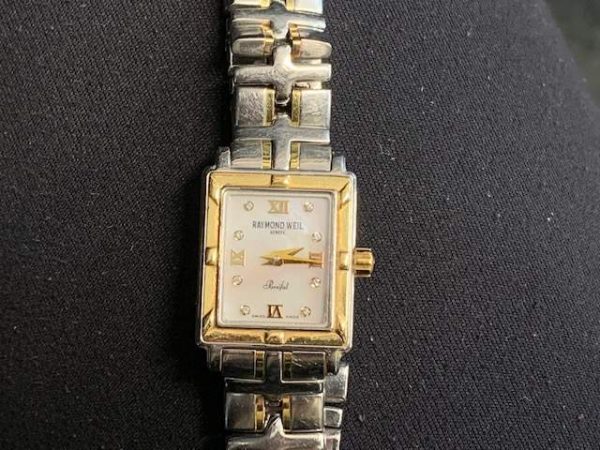 STAINLESS STEEL RAYMOND WELL WATCH